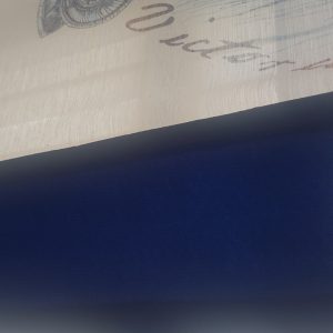Комплект панельних фіранок Lumelle Морська тема 3шт карниз 150см синій з білим (6_7п)